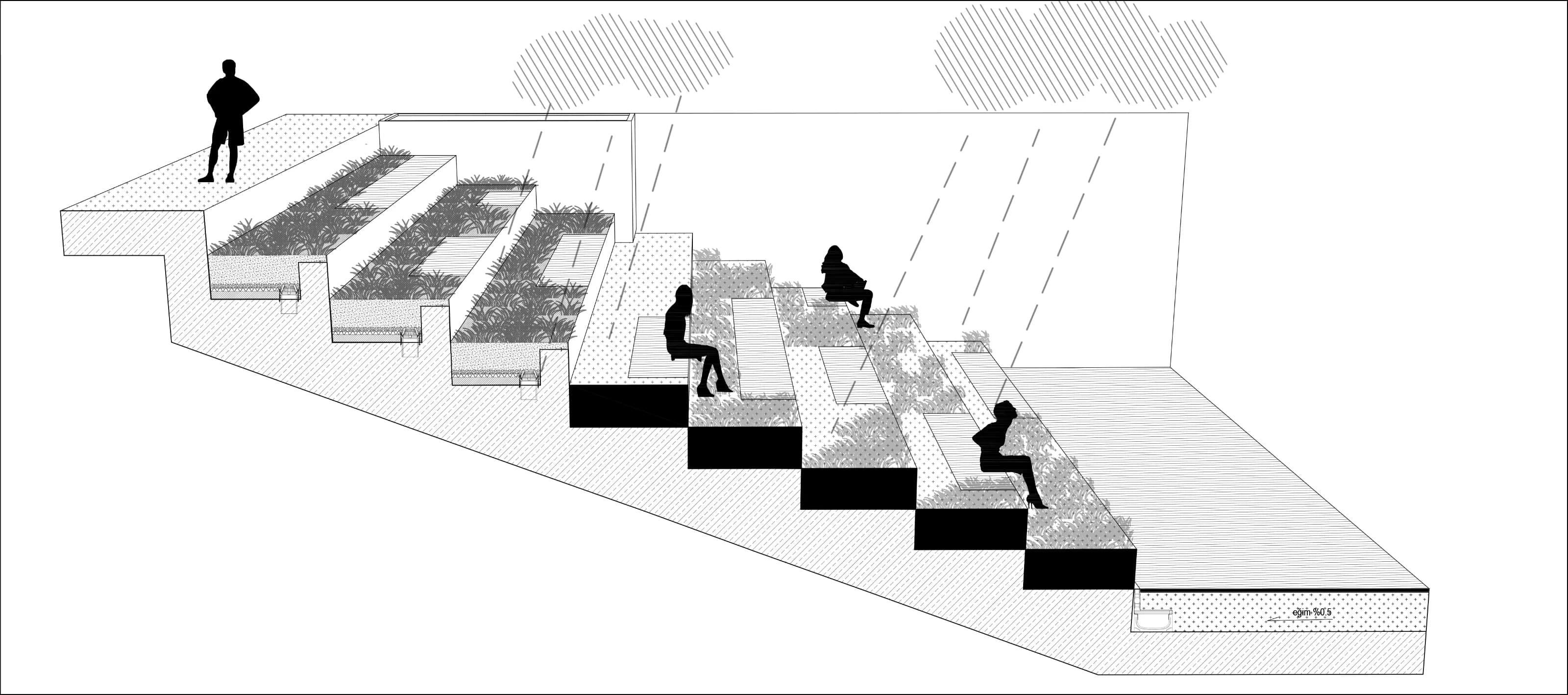 Section perspective of the amphitheatre's planted, stepped seating